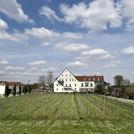 شقة Weinzeit13 Wohlfuehlen An Der Weinstrasse Mit Sauna Neustadt an der Weinstraße