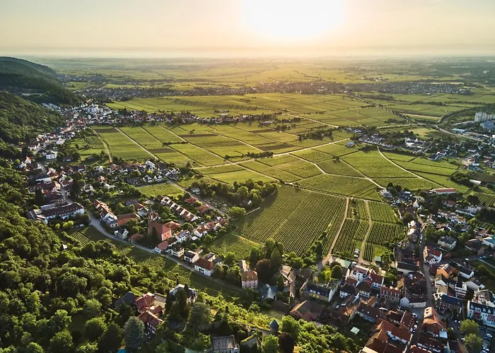 Apartamento Weinzeit13 Wohlfuehlen An Der Weinstrasse Mit Sauna